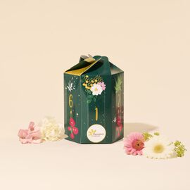 Coffret découverte