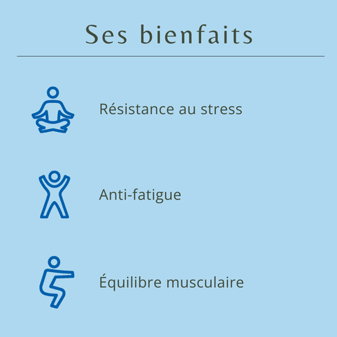 Bienfaits magn&eacute;sium bisglycinate Fleurance Nature