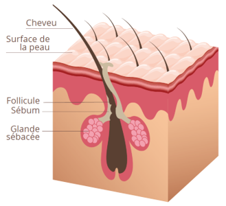 Shampoing purifiant à l'ortie bio 200 ml - Yaya Douda