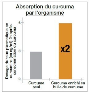 Graphique de l'absorption du curcuma par l'organisme