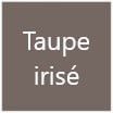 Teinte taupe irisé