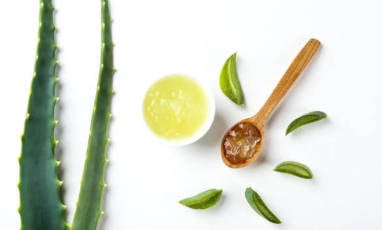 Aloe vera : 5 bienfaits insoupçonnés à découvrir