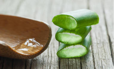 Comment et pourquoi utiliser l’aloe vera sur les cheveux ?